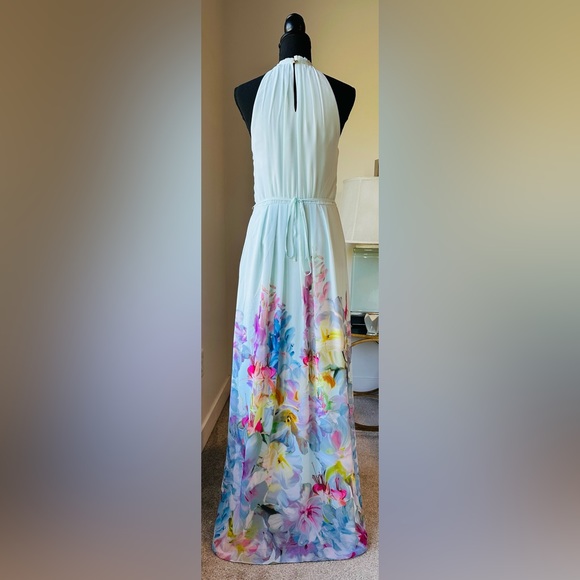 Ted Baker Maxi Dress - Picture 6 of 9
